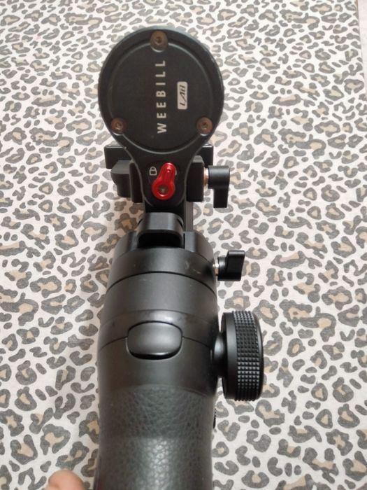 Vind.  Vind.  WEEBILL