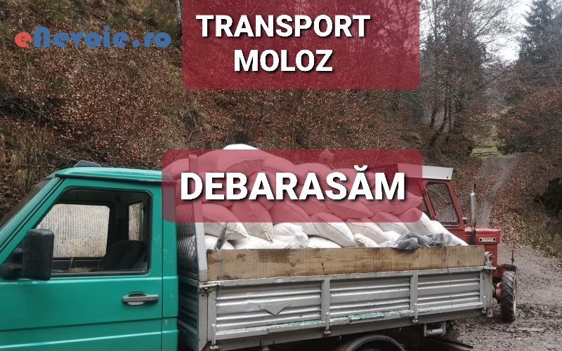 Transport moloz,debarasam apartamente, mobila veche