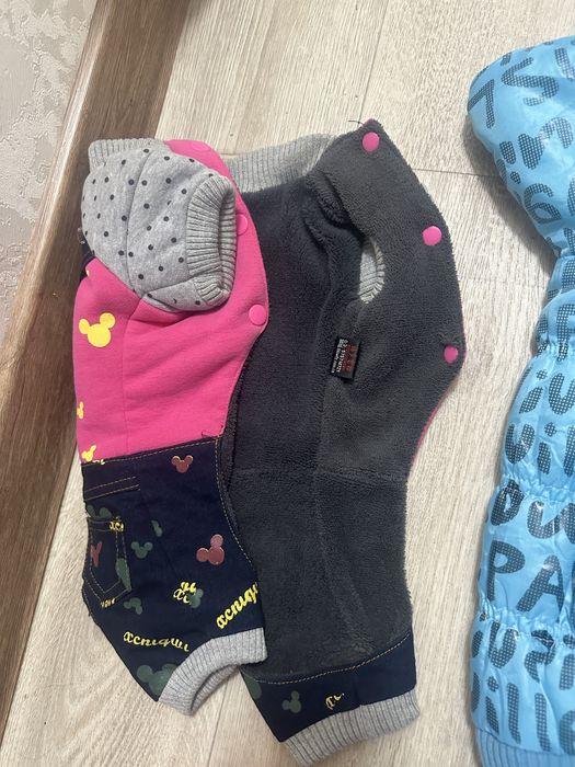 Одежда для собак