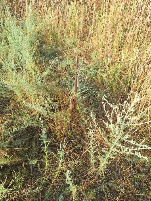 В продаже  участок Исаево