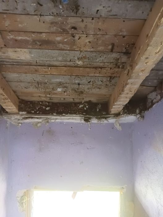 Хамалски услуги,Кърти чисти извозва