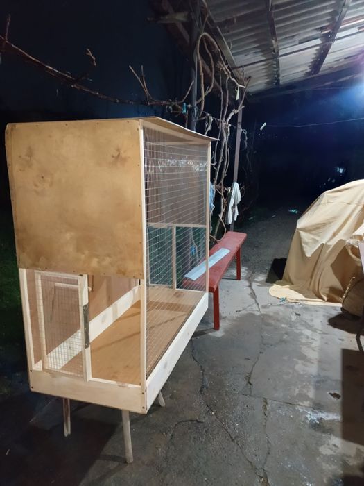 клетках для канареек