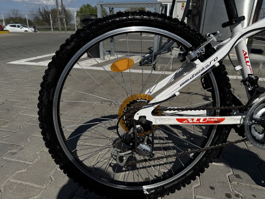 Bicicleta DHL de vanzare