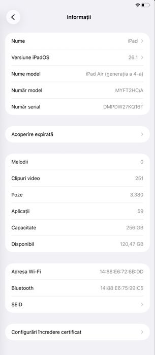 iPad Air (4th generation 256GB)