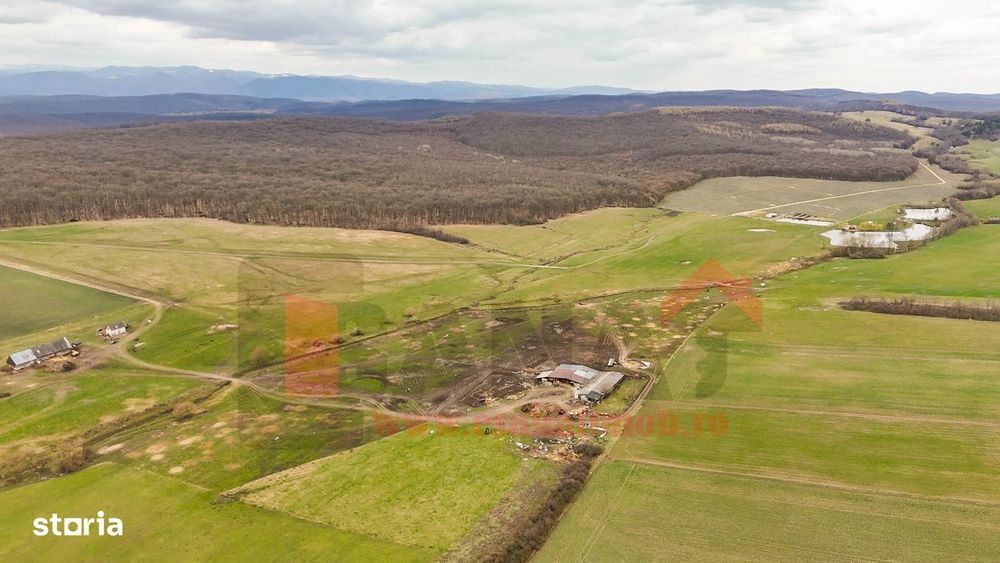 Teren premium  – 20.000 mp | Sura Mica | Locatie exceptionala |VIDEO