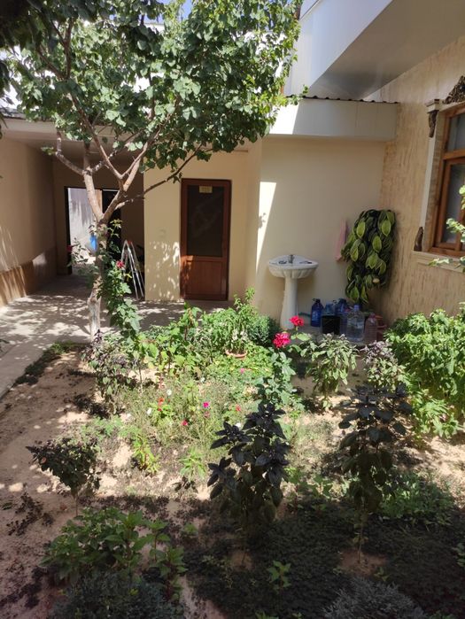 Chorsu hovli 2.7 sotu 5ta hona srochna