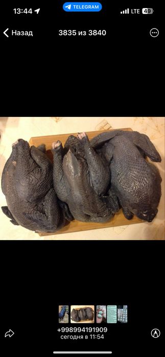 Қора ухеюл тухумлари сотилади тошкен15000