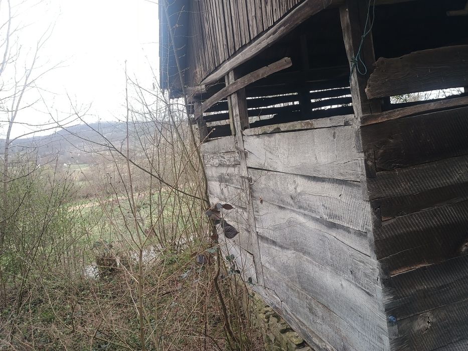 Șură de lemn stejar de vânzare