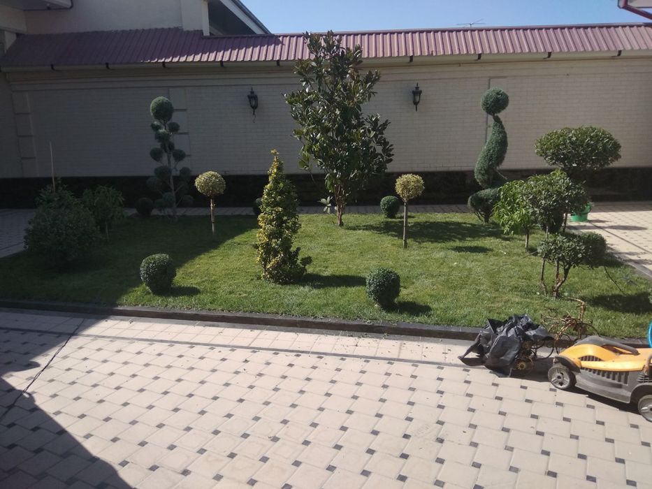 Bogbon xizmatlari