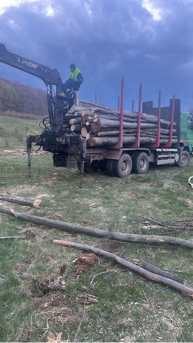 Lemne de foc Fag Stejar Carpen Salcam