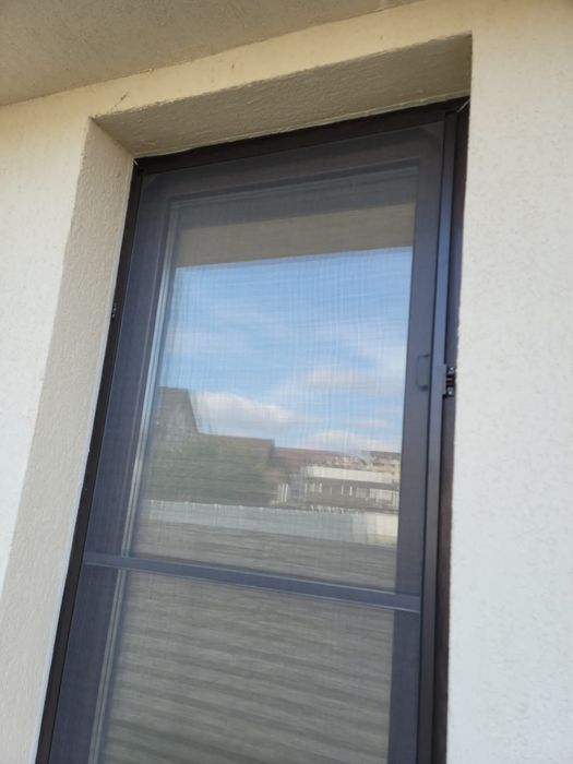 Plase tantari pe balamale București