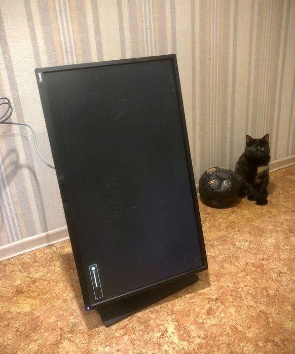 Монитор BenQ BL3200PT