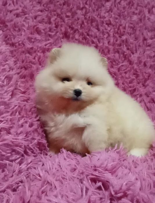 Счастье на ладошке