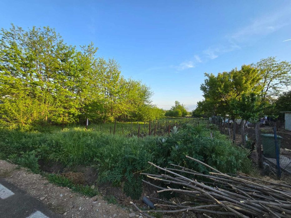 Teren intravilan 1200mp - Valea Argovei, Calarasi