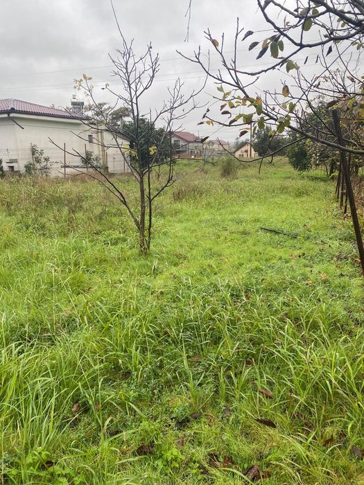 Teren intravilan Tuzla 665 mp aproape de plaja