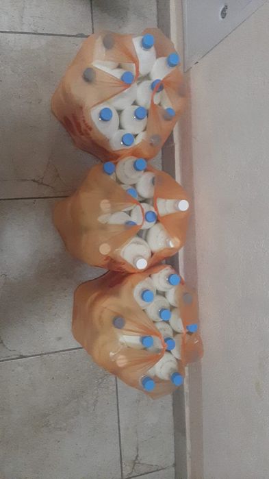 Саунадағы кеуделі порно