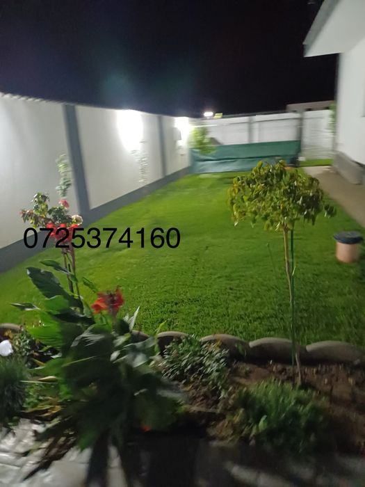 Gazon rulou calitatea 1