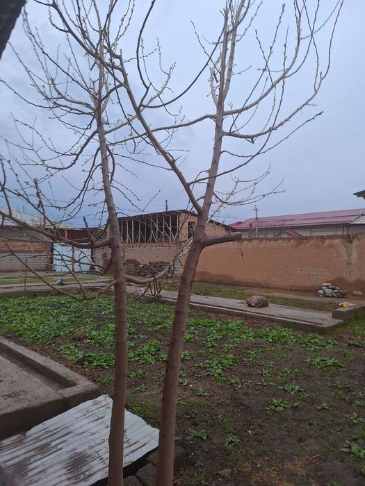 7 sotix hovli sotiladi