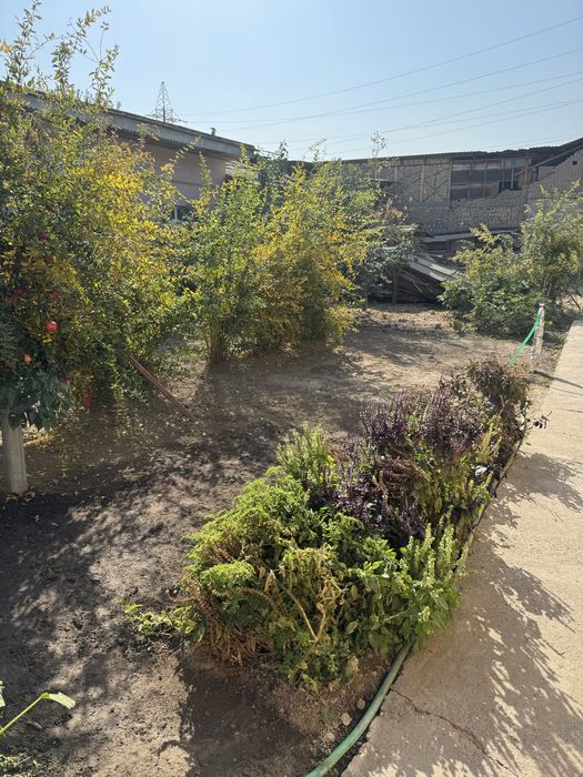 Мирзо улугбек район 6 сотих ер хисобида уй сотилади 80 kv zahvatam bor