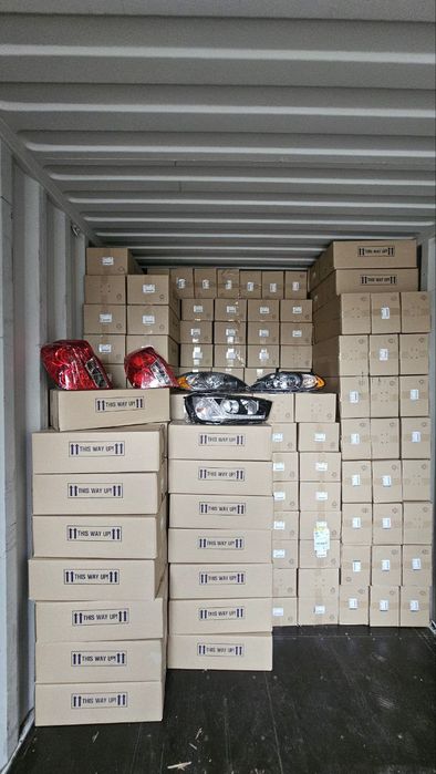 Gentra amerikanka faralar