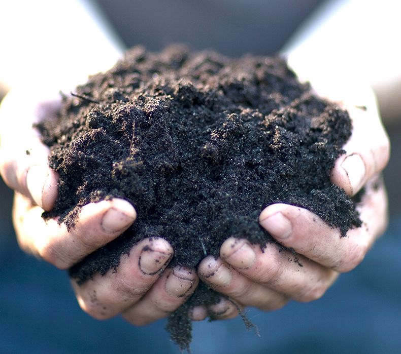 Биогомус Чернозем Уневерсал Оптом Цена и Продажа