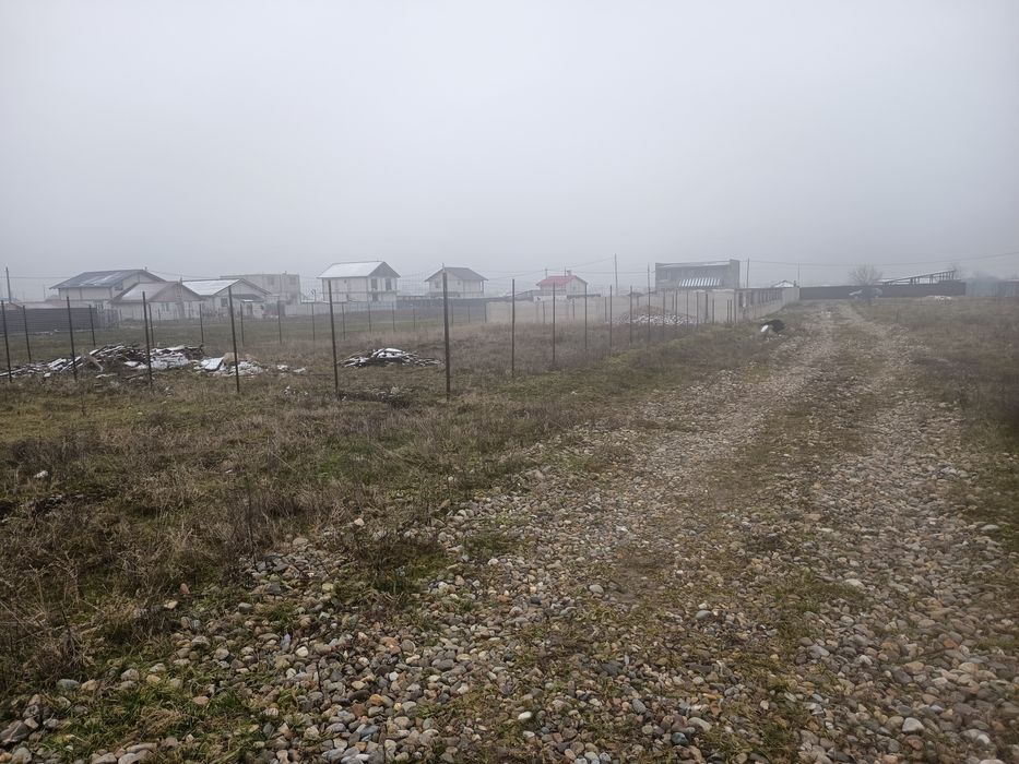 Teren Simian  zona Avicola