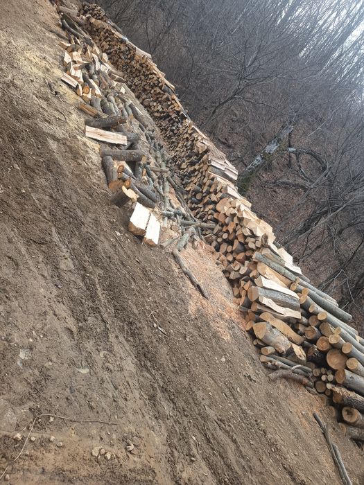 Lemn de foc fag stejar