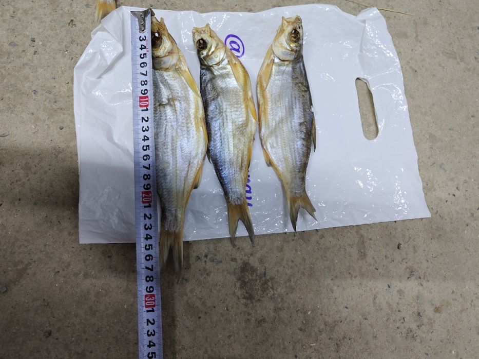 Вяленый рыбец сушеный