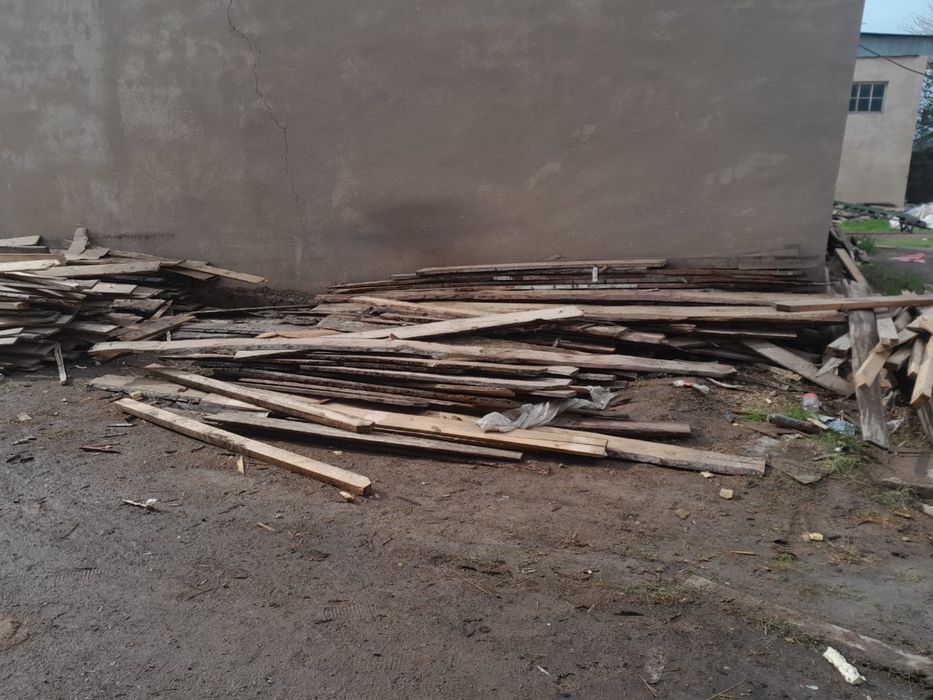 Ағаштар бар       .