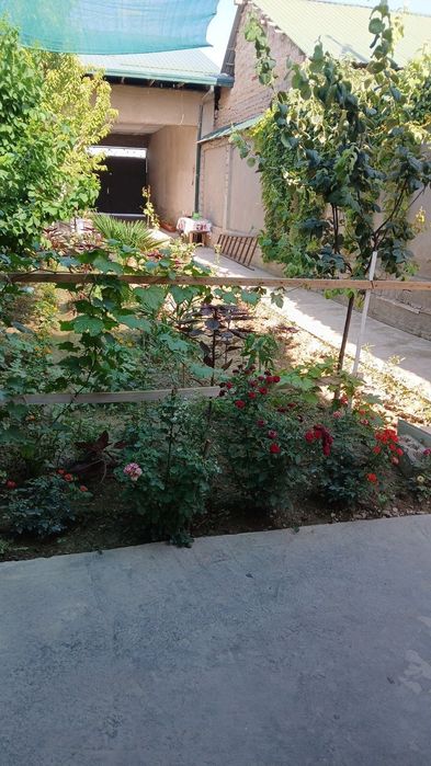 Тошкент шахар, Янги хайот тумани, 120 мин, Чорток махалла