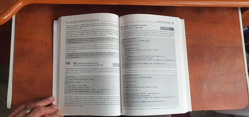 Carte Java 1001 secrete pentru programatori