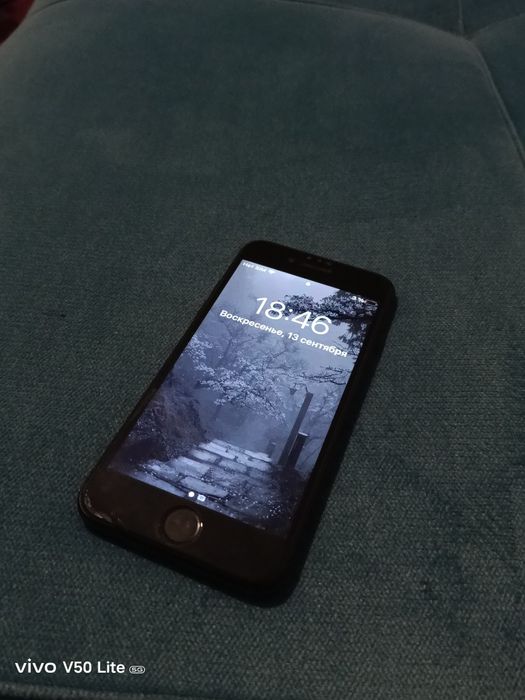 Apple.  Iphone 7