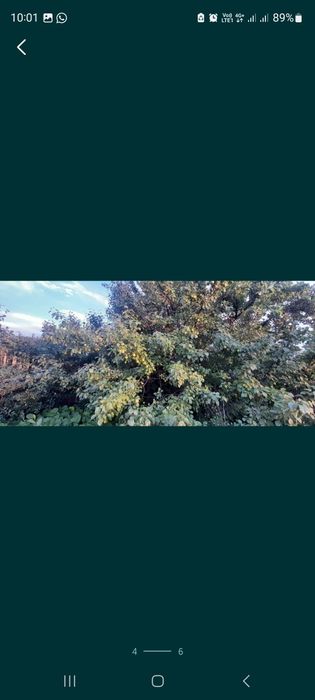 Дача в до Алма (Строитель)