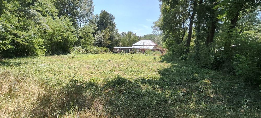 Casa Bătrânească cu teren 1600m2