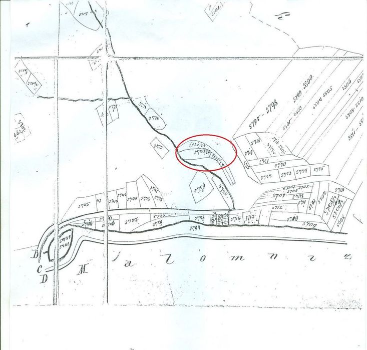 Proprietate rară în inima Retezatului – 5.700 mp teren intravilan