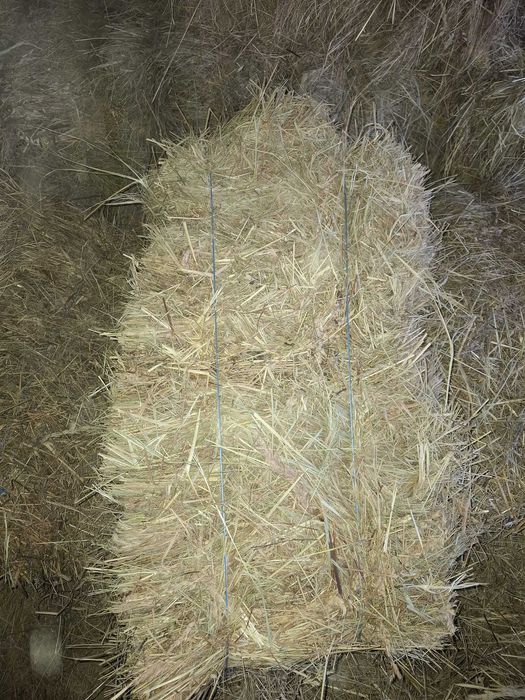 Vând baloti de lucerna si iarbă!