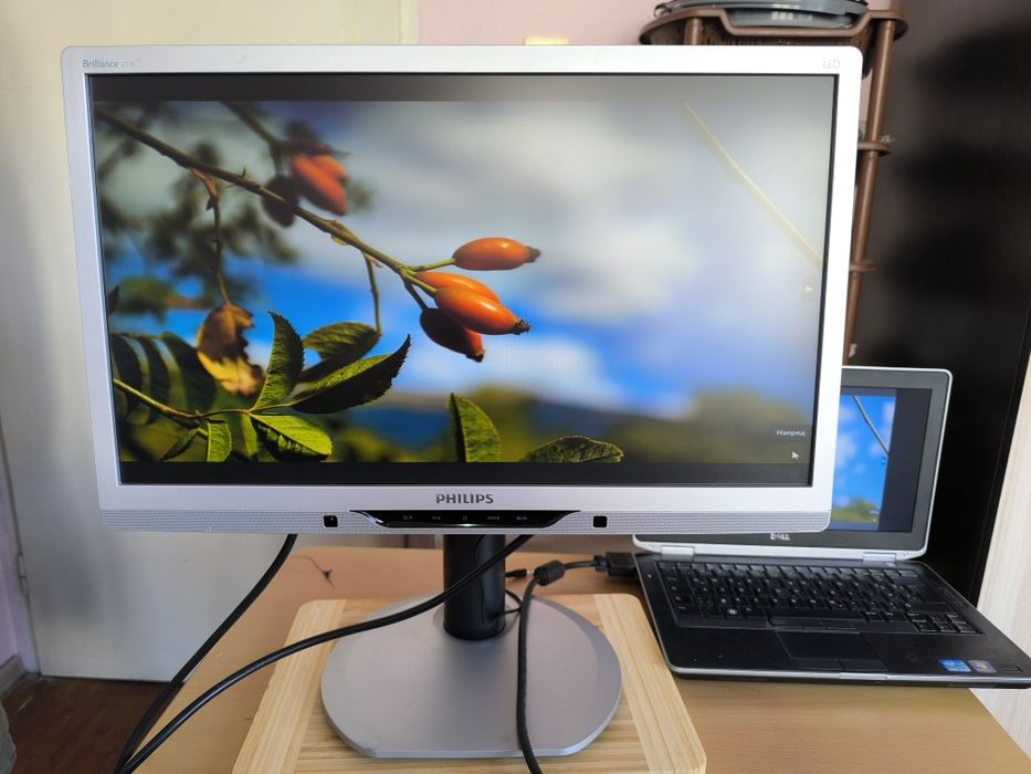 Монитор Philips Brilliance 221B3L