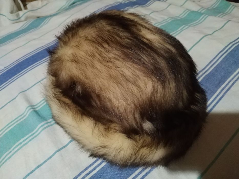 Мужская и женская  меховые