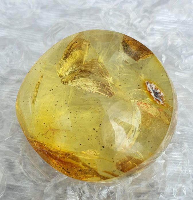 Уникални Балтийски кехлибари с отлично съхранени фосили