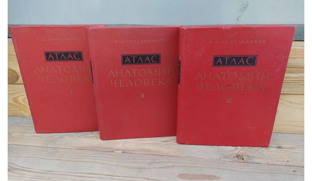 Синелников Атлас анатомии человека
