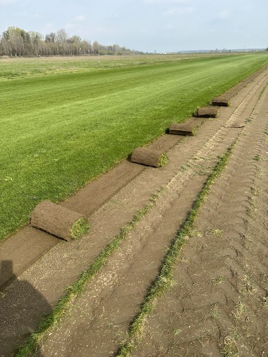 Rulouri gazon natural montaj rapid