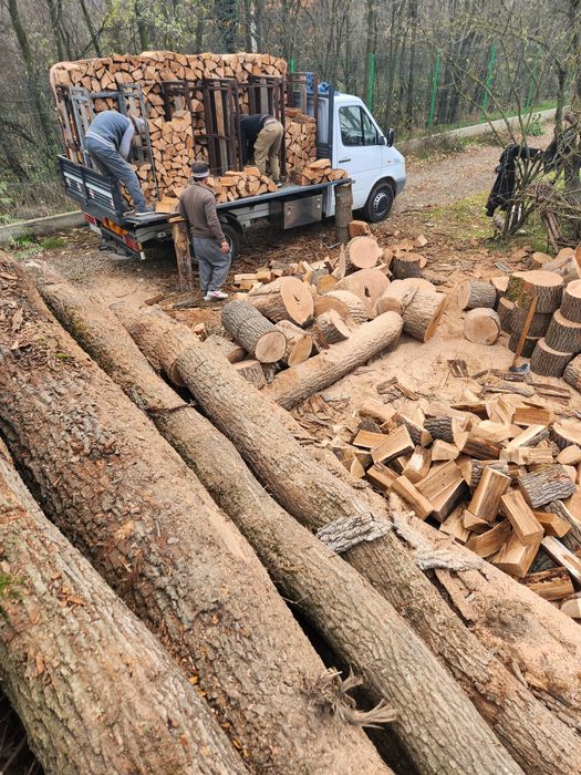 Lemne de foc stejar fag salcâm