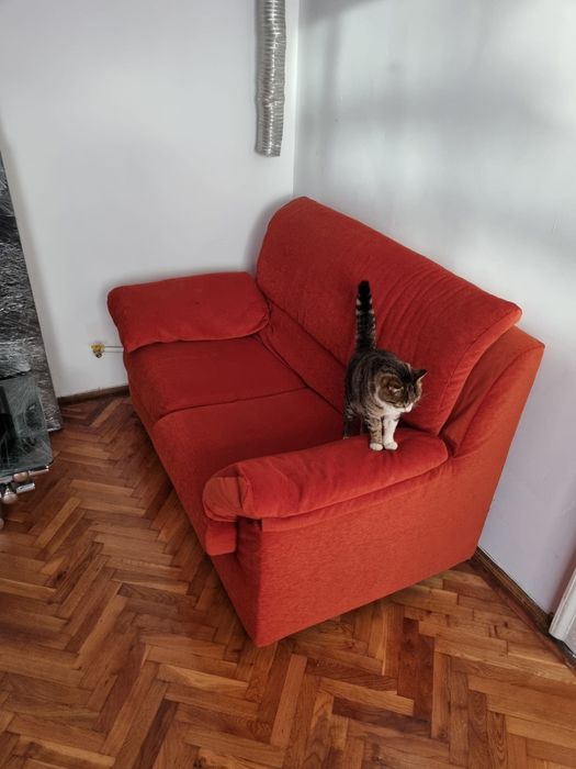 Canapele / dulapuri / covor / noptiere