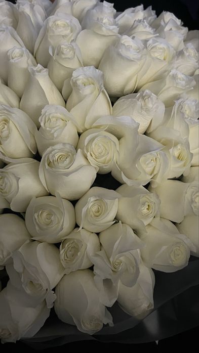 Цветы, букет, 101 роза