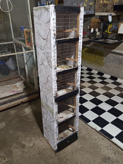 Кафас сайратма канарейкага сотилади 150 минг