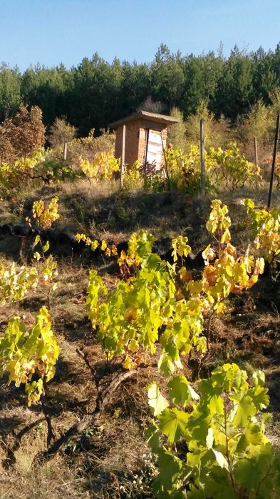 Продава се Къща в Кочериново - 51 кв.м за 550 €/кв.м - Снимка #14