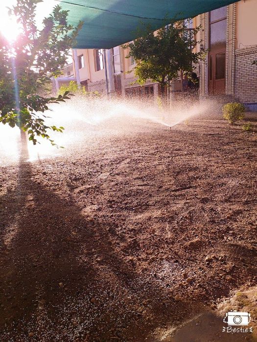 Поссев бренд газоны Готовые рулонные газоны Автопалив поливная система