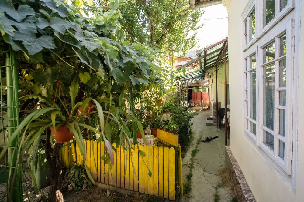 Casa de vanzare Precista