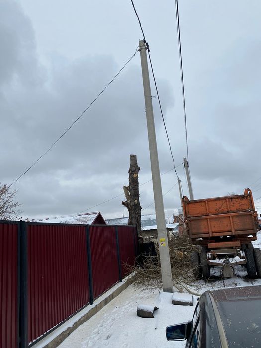 Спил деревьев, санитарная подрезка