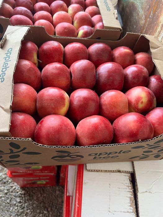 Яблоки с Тургена